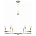 Capital Lighting Fixture Company - Fuller Chandelier - 448761AD | Montreal Lighting & Hardware