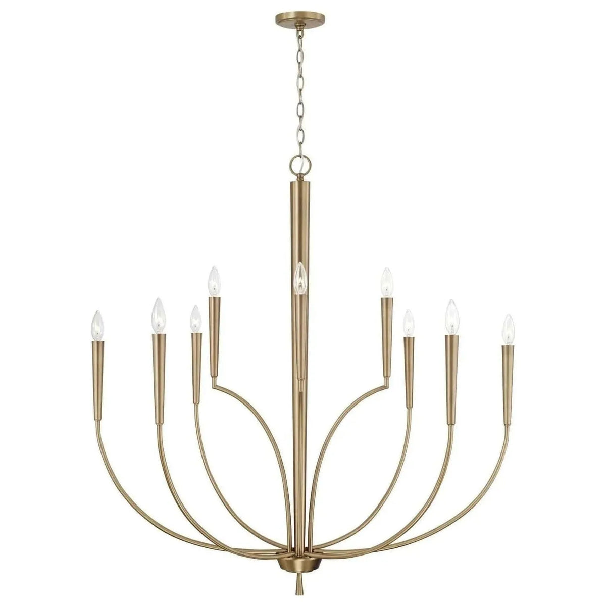 Capital Lighting Fixture Company - Holden Chandelier - 445901AD | Montreal Lighting & Hardware