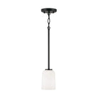 Capital Lighting Fixture Company - Lawson Pendant - 348812MB-542 | Montreal Lighting & Hardware