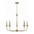 Capital Lighting Fixture Company - Presley Chandelier - 448951AD | Montreal Lighting & Hardware