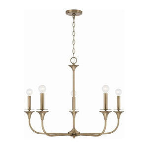 Descriptive image text