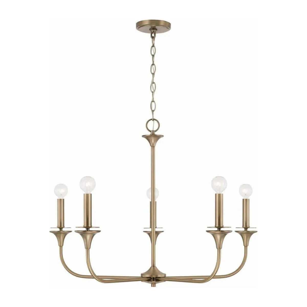 Capital Lighting Fixture Company - Presley Chandelier - 448951AD | Montreal Lighting & Hardware