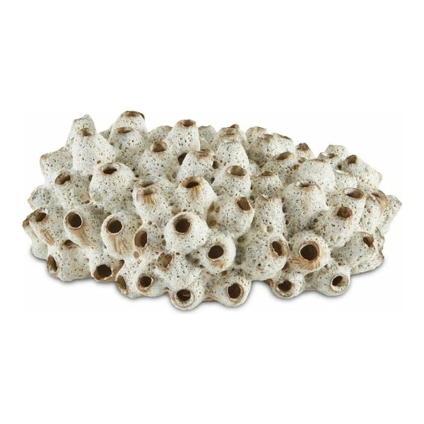 Suluwasi Shells