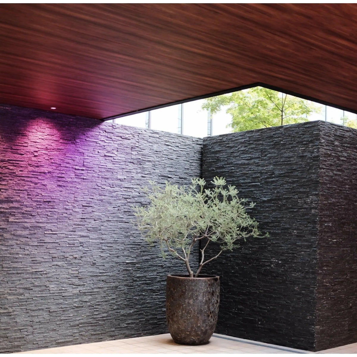 Dals Lighting - 6" DCPro Deep Regressed Panel - DCP-DDP6WH | Montreal Lighting & Hardware