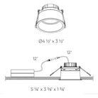 DALS Lighting - RGM 4 Inch CCT Round Regressed Gimbal Down Light - RGM4-CC-BK | Montreal Lighting & Hardware