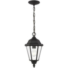 Generation Lighting - Bakersville Outdoor Pendant - 60941-12 | Montreal Lighting & Hardware