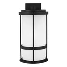 Generation Lighting - Wilburn Dark Sky Outdoor Wall Lantern - 8790901D-12 | Montreal Lighting & Hardware
