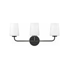 Lark - Kline Vanity - 853453BK | Montreal Lighting & Hardware