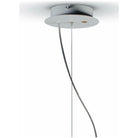 Lladro - Belle de Nuit Ceiling Lamp II - 01023367 | Montreal Lighting & Hardware