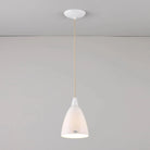 Original BTC - Hector Pendant - US-FP132N | Montreal Lighting & Hardware