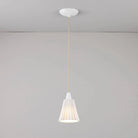 Original BTC - Hector Pleat Pendant Light - US-FP156N | Montreal Lighting & Hardware
