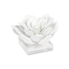 Regina Andrew - Succulent Resin Sculpture 1 - 20-1483 | Montreal Lighting & Hardware