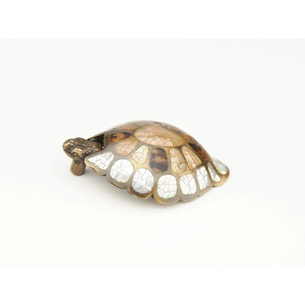 Tortue Nature Suspension Tirer