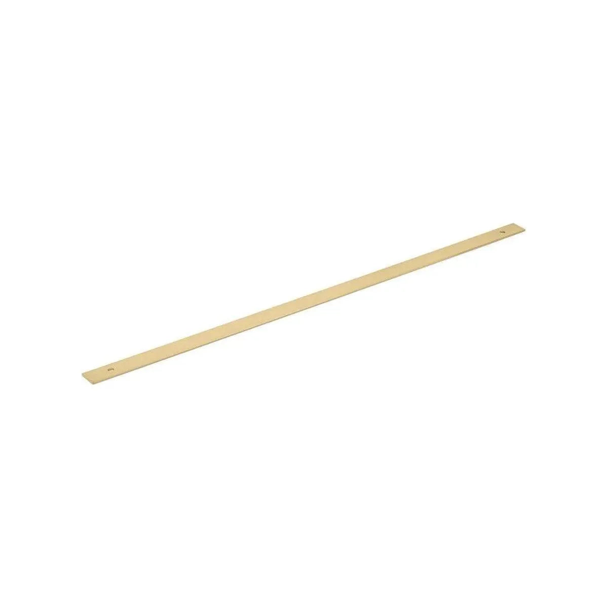 Schaub - Pub House Backplate for Appliance Pull - 5124AB-SSB | Montreal Lighting & Hardware