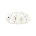 Schaub - Symphony Cup Pull - 854-MOP/PN | Montreal Lighting & Hardware