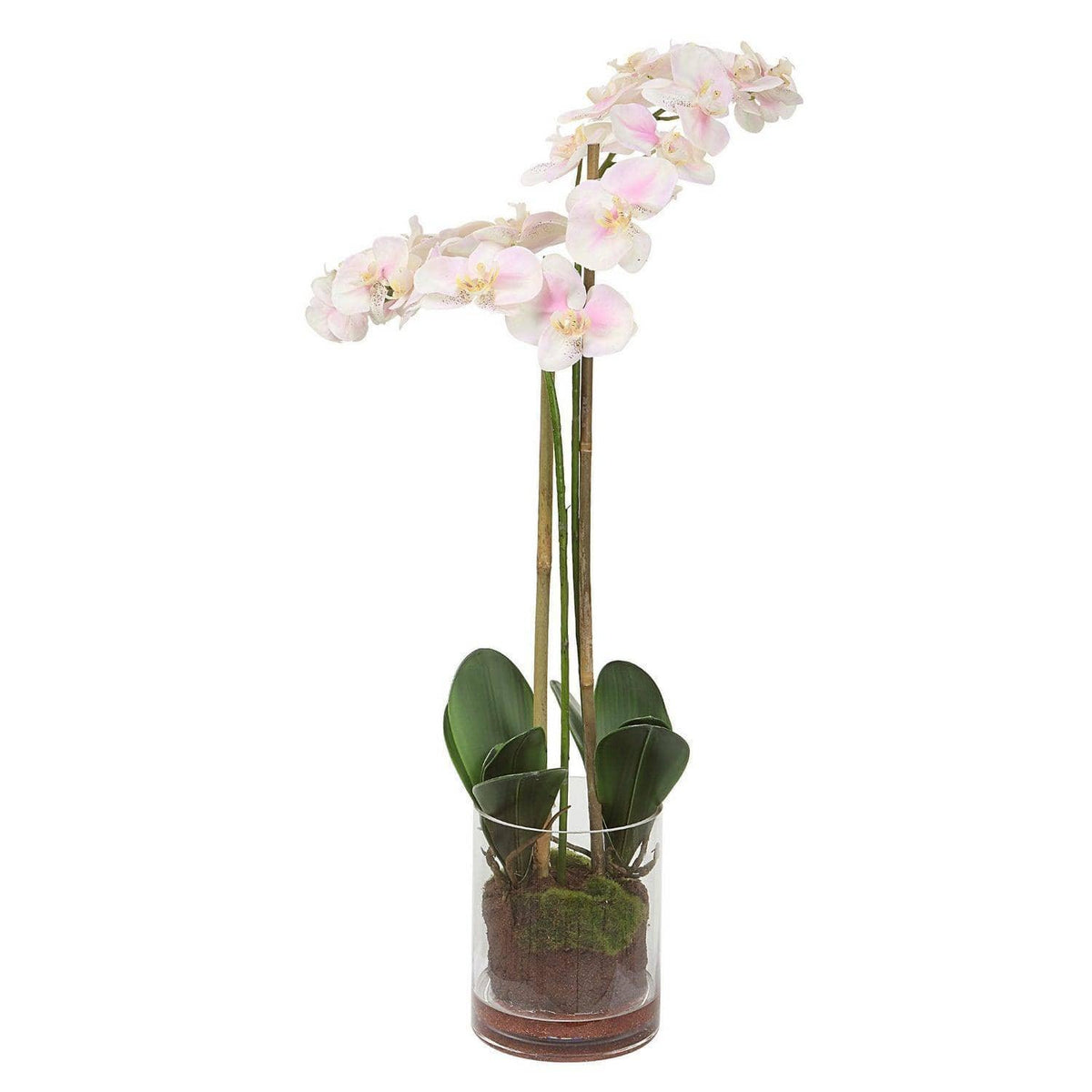 The Uttermost - Blush Orchid - 60196 | Montreal Lighting & Hardware