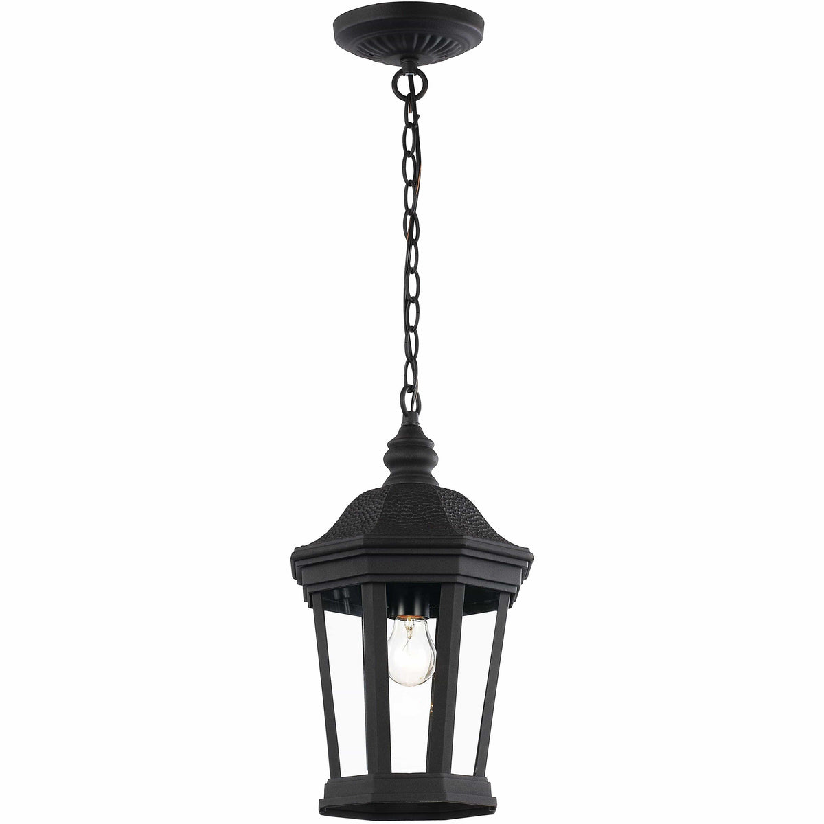 Trans Globe Lighting - Westfield One Light Hanging Lantern - 40405 BK | Montreal Lighting & Hardware
