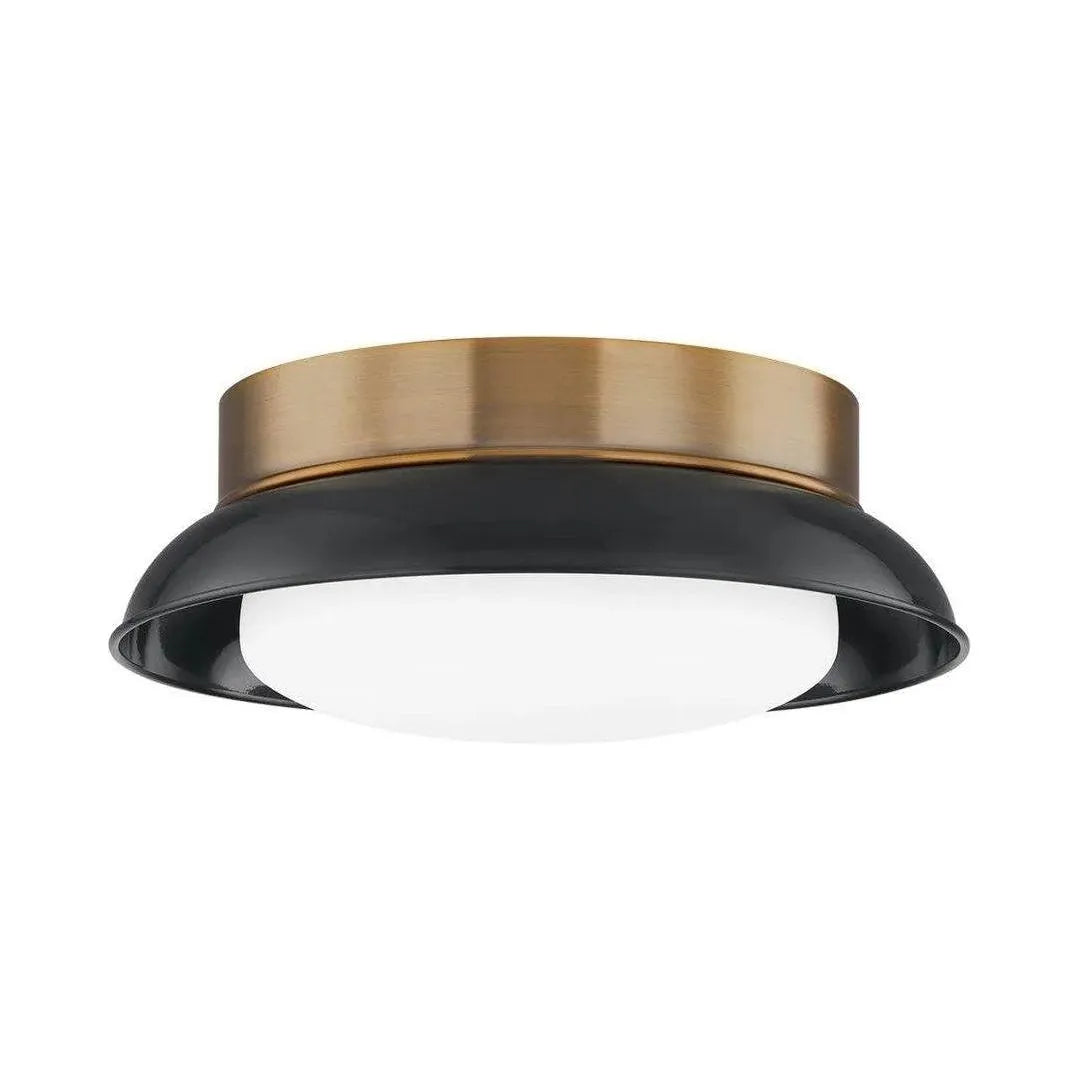 Troy Lighting - Arnie Flush Mount - C2014-PBR/GBK | Montreal Lighting & Hardware