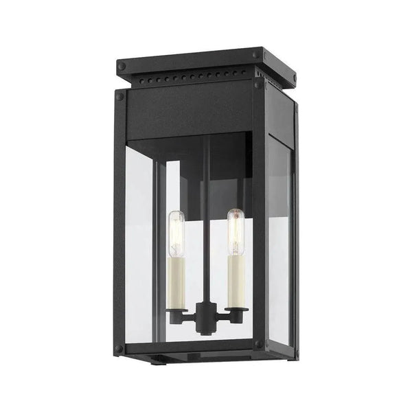 Braydan Exterior Wall Sconce