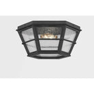 Troy Lighting - Lake County Flush Mount - C2514-FRN | Montreal Lighting & Hardware
